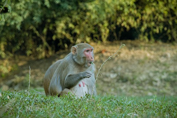 Découvrez le parcours du directeur général d'Orange Madagascar