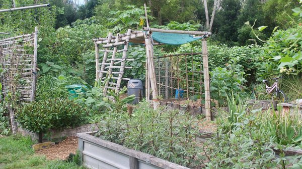 Comment utiliser la permaculture pour créer un jardin urbain autosuffisant ?